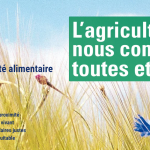 souv alimentaire